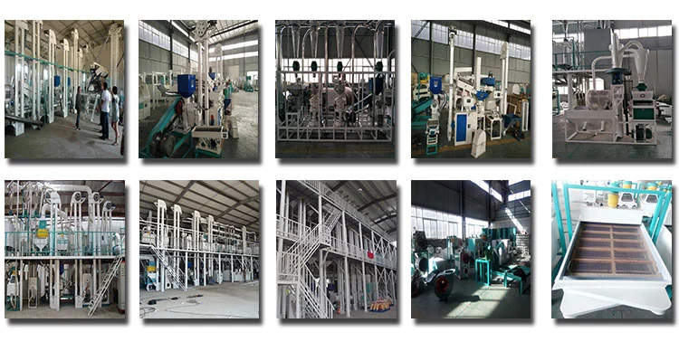 Agro Processing Machine Wheat Maize Corn Flour Milling Grinding Processing Equipment