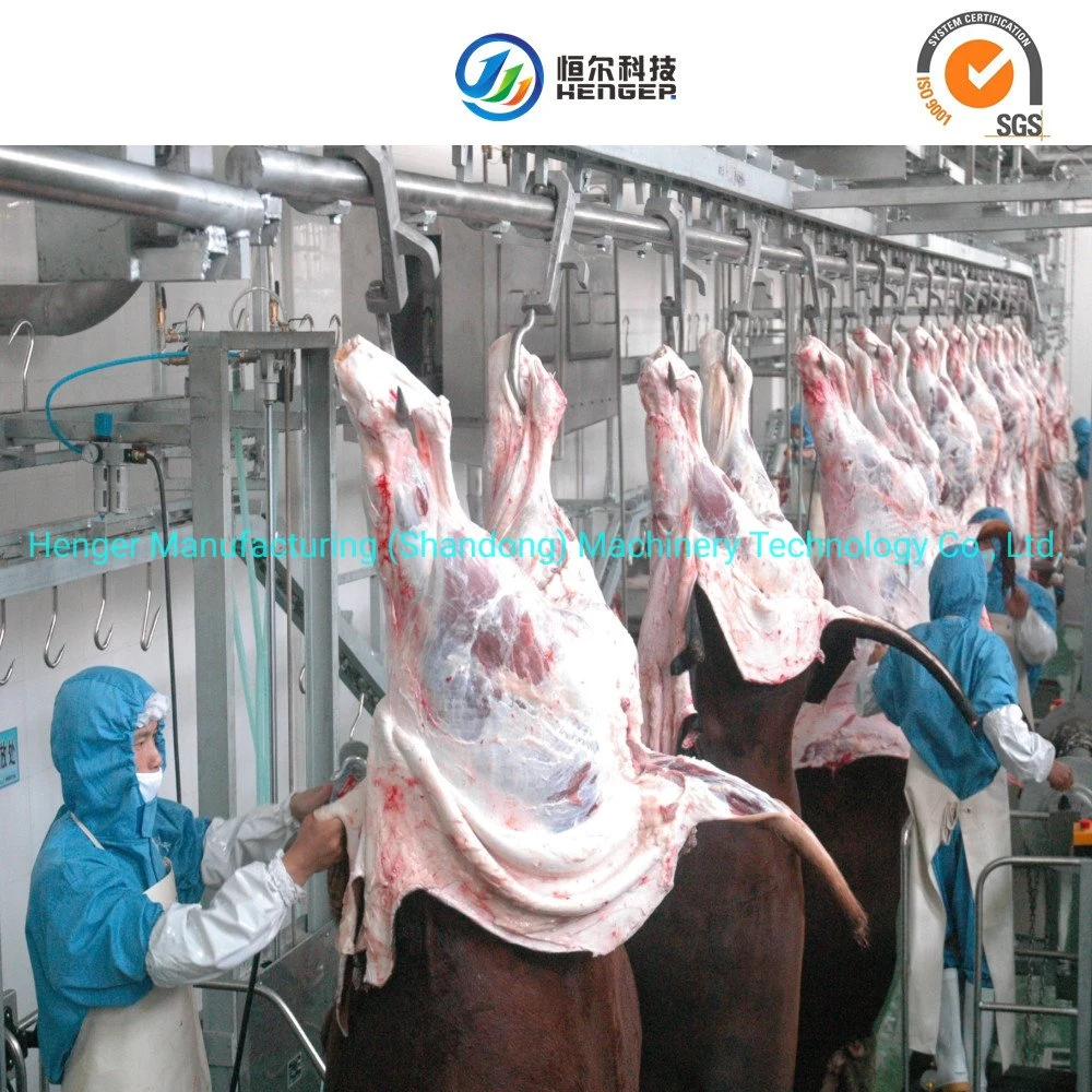 Large Cow Bone Crushing Machine Pet Food Processing Equipment