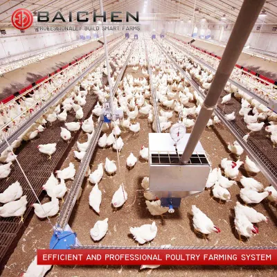 Breeder Chicken Chain Feeding Line Corner Wheel Geflügelfütterungssystem